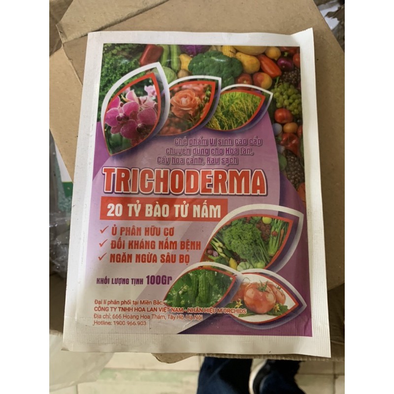 Chế phẩm sinh học Trichoderma 18 tỷ bào tử nấm- gói 100gam