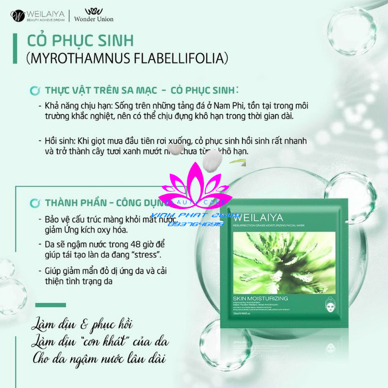 MẶT NẠ WEILAIYA TRẮNG DA CHÍNH HÃNG HỘP 10 MIẾNG BAO PHÊ