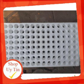 5 Khay xốp ươm hạt 112
