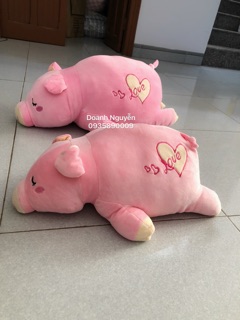 Gấu Bông Heo Lười