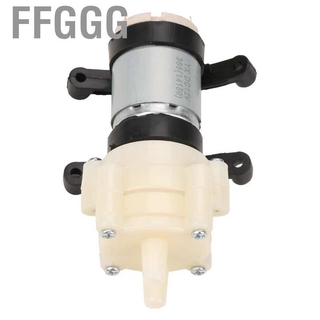 Máy Bơm Nước Mini Dc 12v