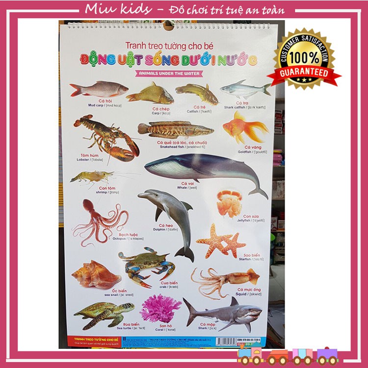 Bộ tranh treo tường cho bé 12 chủ đề song ngữ tiếng Anh và tiếng Việt, bảng chữ cái cho bé
