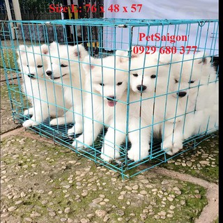 LỒNG CHUỒNG CHÓ MÈO