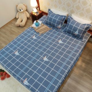 Bộ ga, gối cotton 2m2