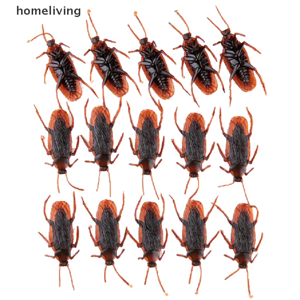 Bộ 10 Mô Hình Con Gián Giả Bằng Cao Su Sống Động Như Thật