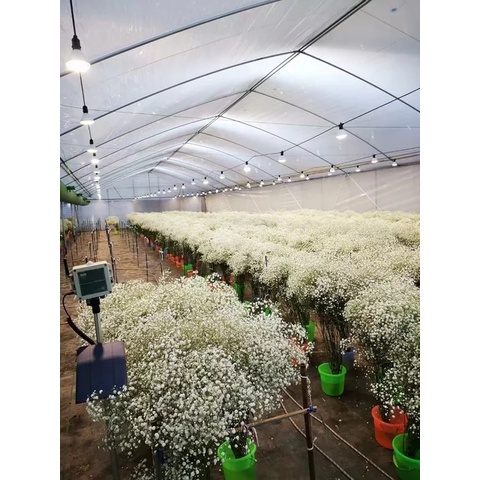 Đèn Led Sansi 24W 2022 hiệu suất cao chuyên dụng cho cây trồng