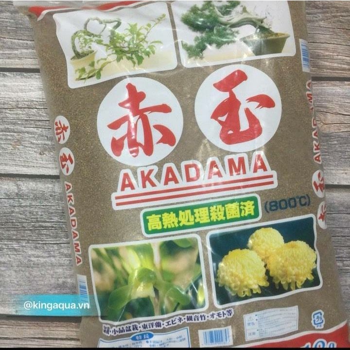 ( HOT ) Đất Akadama size S, SS, M bao (14 lít) chuyên dùng cho trồng sen đá, xương rồng