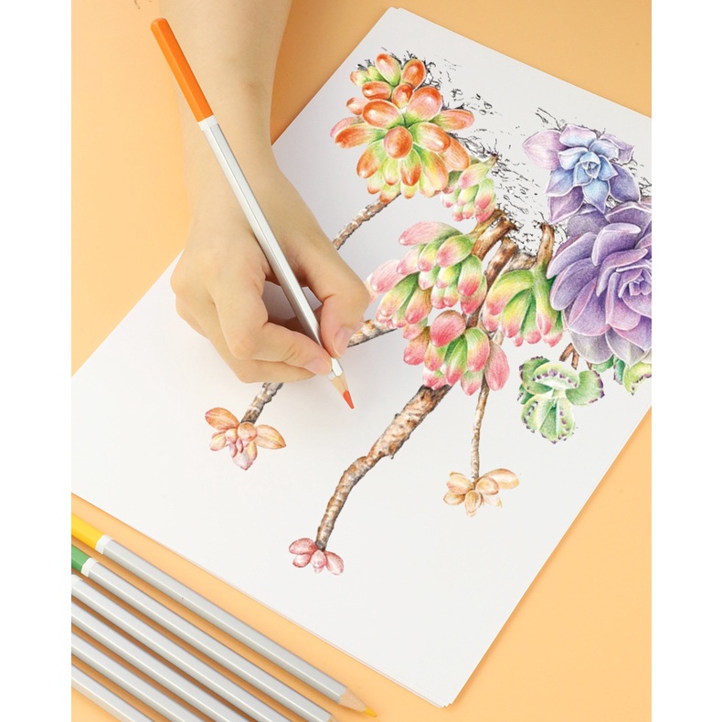 Giấy Vẽ Màu Marker Tập 50 Tờ - 120Gsm