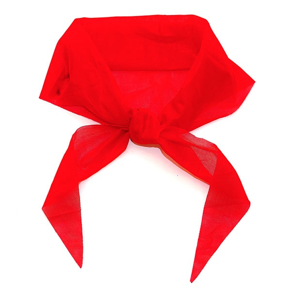 Khăn quàng đỏ học sinh có logo búp măng non