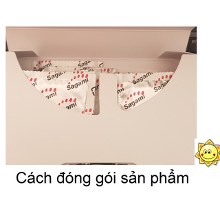 BAO CAO SU 0.03 SAGAMI EXCEED NHẬT BẢN