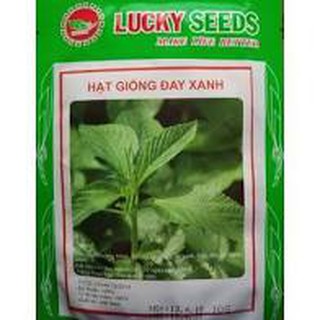 Hạt giống rau đay xanh (10g)