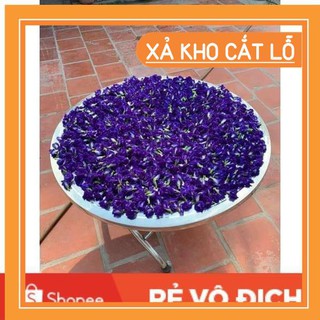 (SALE LỚN) 50 hạt giống hoa đậu biếc