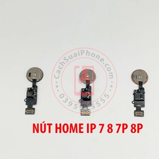 Phím Nút Home – Tương Thích IP 5S / 5SE / 6 / 6S / 7 / 8 & Plus Đủ Phân Loại