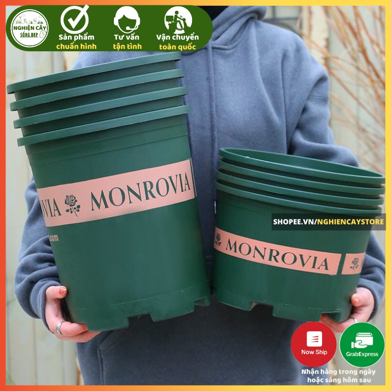 Chậu nhựa trồng cây Monrovia kèm đĩa lót hàng cao cấp cỡ 1 - 3 GAL