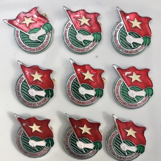 huy hiệu đoàn ,đội,măng non