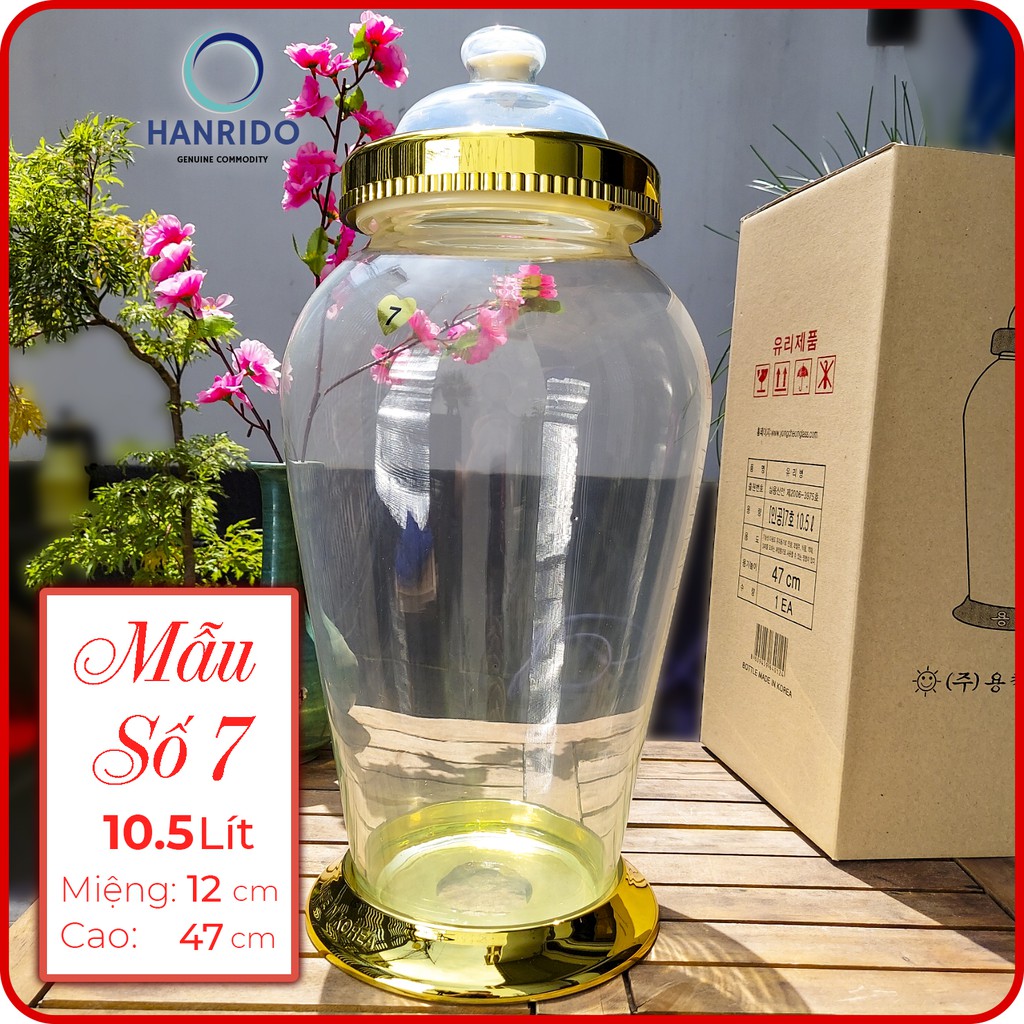 Bình ngâm rượu thủy tinh sâm Hàn Quốc 10,5L hình Bầu - HANRIDO. Phóng sâm - Sang trọng - Sức khỏe