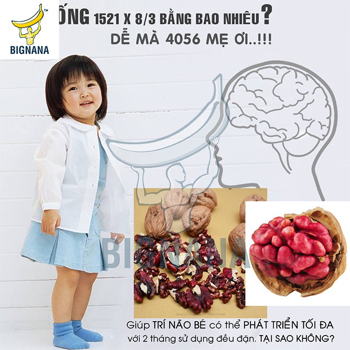 Hạt Óc Chó Đỏ Mỹ Còn Vỏ Gói 500gr, Quả Tốt Cho Trí Não, Mẹ Và Bé, Nam Giới | BigBuy360 - bigbuy360.vn