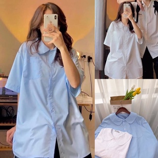 Áo sơ mi cổ sen điệu đà áo học sinh ngắn tay đủ màu