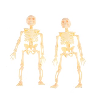 Skeleton Human Model Skull Full Body Mini Figure Toy Halloween
