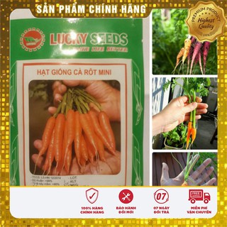 Hạt Giống Cà Rốt Mini Hạt giống cà rốt tí hon
