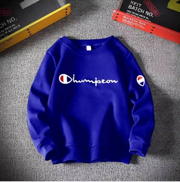 Áo Sweater Tay Dài In Chữ Champion Thời Trang Cho Nam