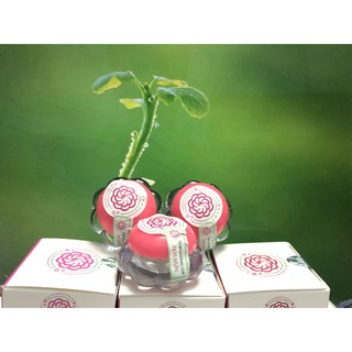 [FREESHIP] KEM MỤN THẢO DƯỢC HOA ĐÀO