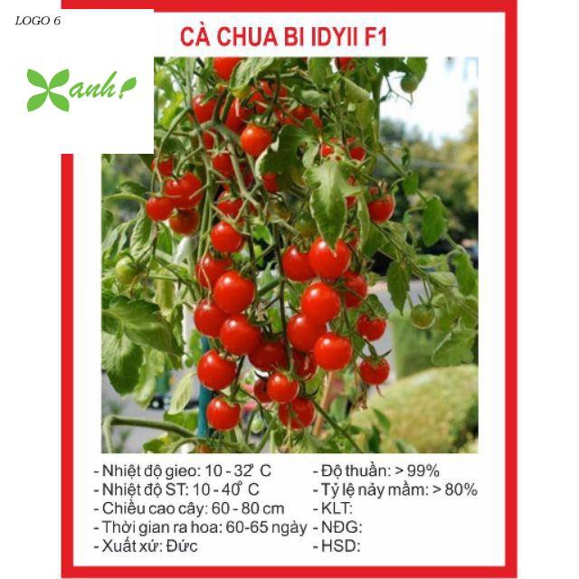 Hạt giống Cà Chua Bi Chùm 30 Hạt