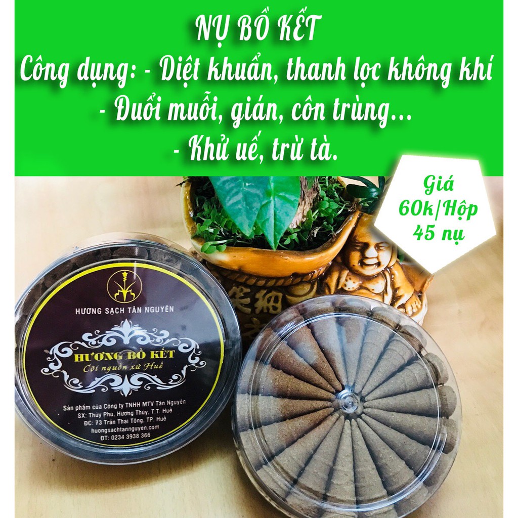 NỤ BỒ KẾT xông nhà diệt khuẩn - HƯƠNG SẠCH TÂN NGUYÊN