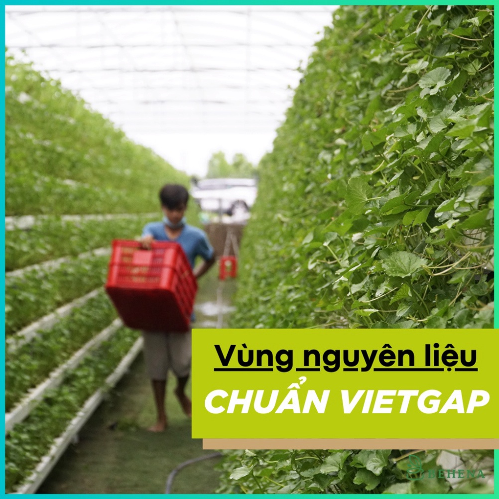 Bột Rau Má Nguyên Chất Behena 50g Giải Nhiệt - Hạ Sốt - Mát Gan, Giải Độc, Tăng Cường Trí Nhớ, Thị Lực