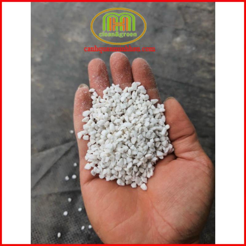Đá Perlite - Đá Trân Châu Namix Trồng Cây, Trang Trí