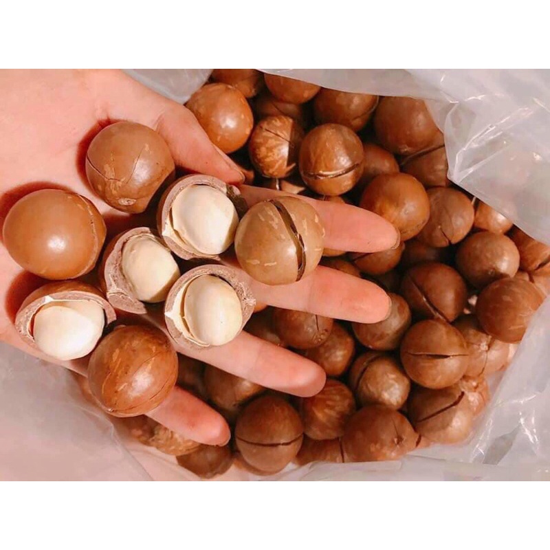 Hạt Macca Daklak 500gr
