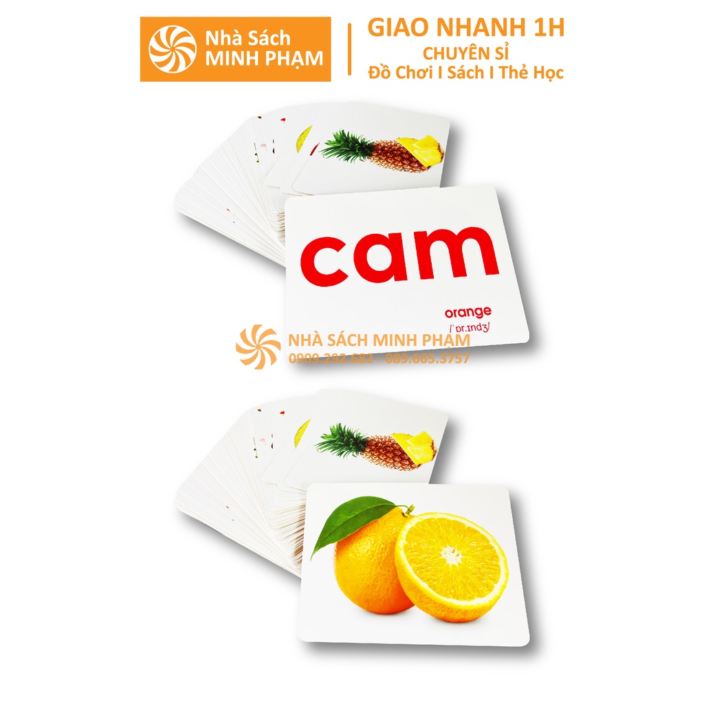 Sách - Bộ Thẻ Học Thông Minh Flashcard Thế Giới Xung Quanh Việt Hà Khổ A5 - Song Ngữ Anh Việt Phương Pháp Glenn Doman