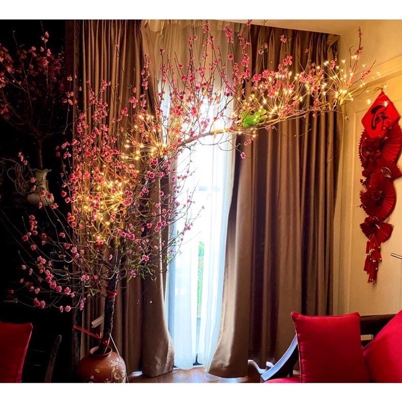 Bộ 5 Dây Đèn Led Hình Pháo Hoa, Trang Trí Sân Vườn, Giáng Sinh Độc Đáo,Cafe, Nhà Hàng