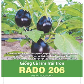 Hạt giống RD Cà tím trái tròn Rado 206 gói 0.5gr