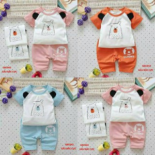 Bộ cotton gấu bắc cực