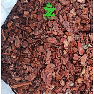 Gói 1kg vỏ thông dạng hạt ngô/bắp