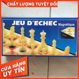 Cờ vua nam châm