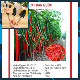 Hạt Giống Ớt hàn Quốc 30 Hạt TẶNG BỘ LÀM VƯƠN MINI