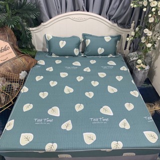 Bộ ga chun trần + vỏ gối 100% cotton [ đủ kích thước 1m2, 1m5, 1m6, 1m8, 2m2 ]