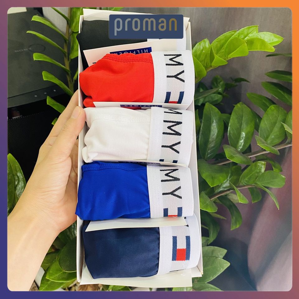 Quần lót nam thun lạnh tam giác cao cấp, quần sịp nam co dãn 4 chiều SC4 - PROMAN