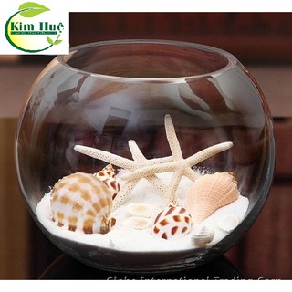 Bể cá thủy tinh chậu cây 17cm x 13cm - t11