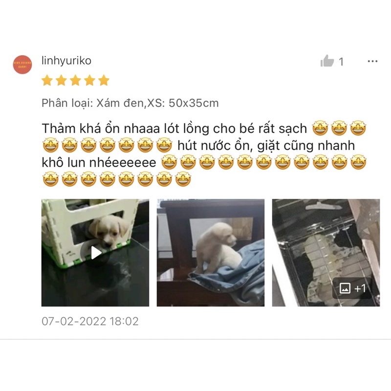 Thảm đi vệ sinh cho thú cưng có thể tái sử dụng nhiều lần – Thảm lót chống thấm chuyên dụng cho chó mèo siêu tiết kiệm