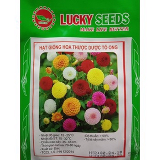 Hạt Giống Hoa Thược Dược Tổ Ong