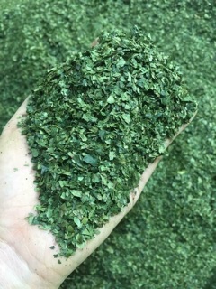 100g bột trà xanh thái nguyên