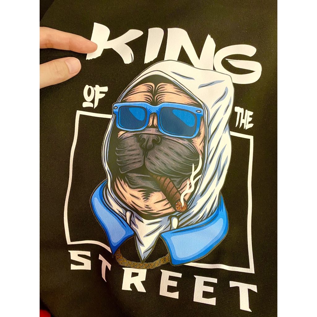 Hoodie bích đẹp siêu chất OK.13