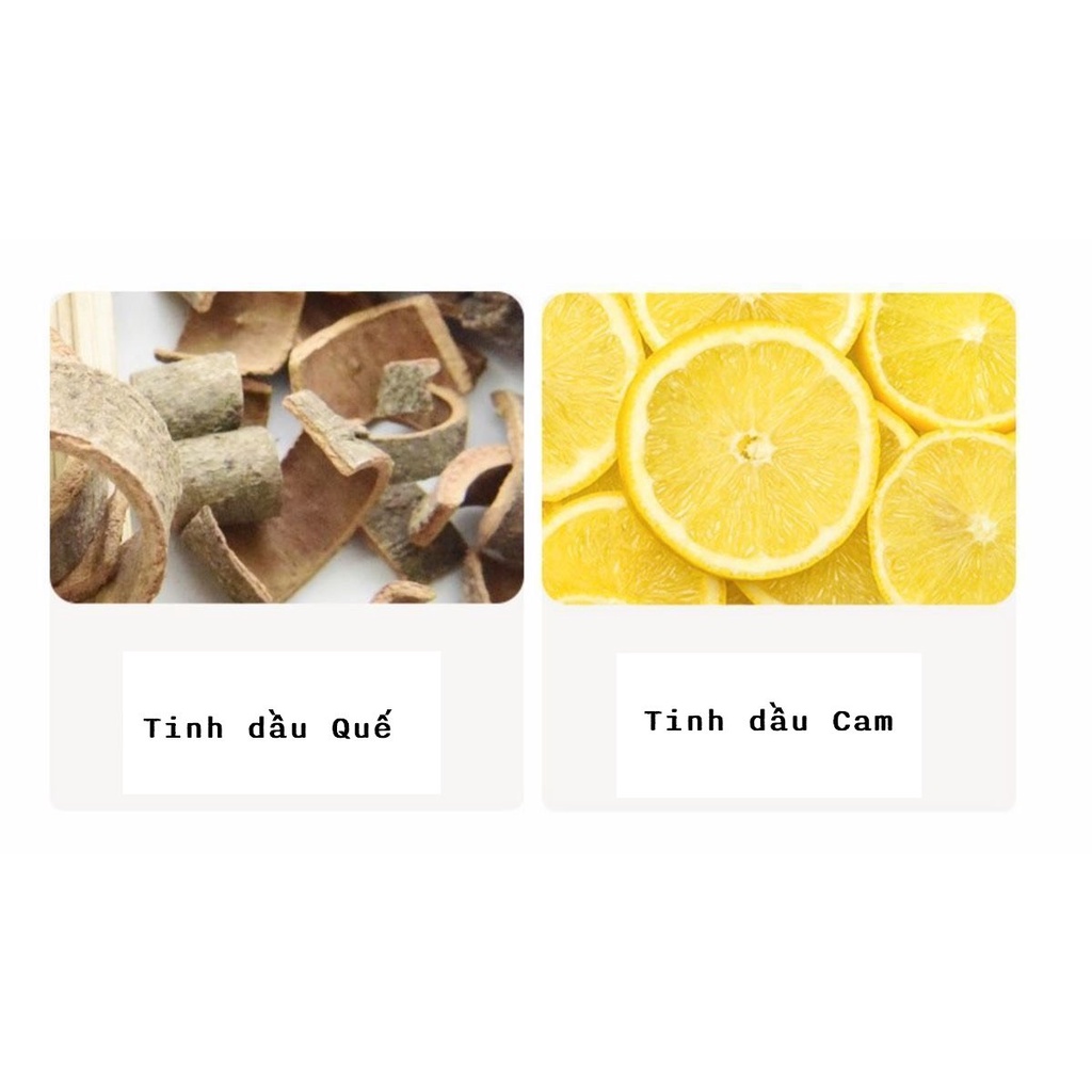 Bình xịt diệt Bọ mạt, bọ rệp, ve Chiết xuất từ Thảo mộc