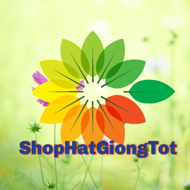 Hạt Giống Hoa Hạt giống rau