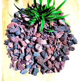 Đá núi lửa nham thạch giá thể trồng lan, sen dá xương rồng 1kg