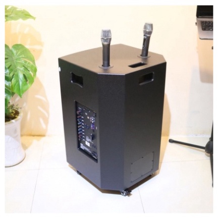 Loa kéo Acnos CB404G