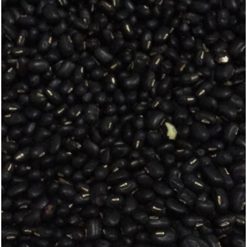 Đậu đen - Đậu đen xanh lòng túi zip